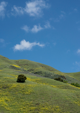 Landscape, sky, and grass